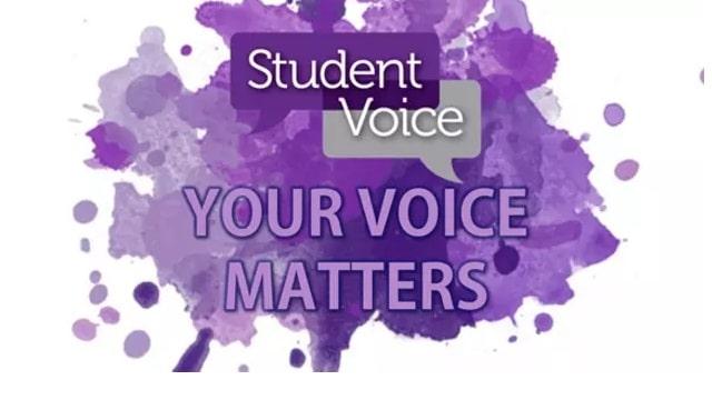 Bringing Student Voice to Scale