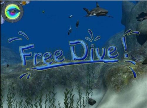 free-dive