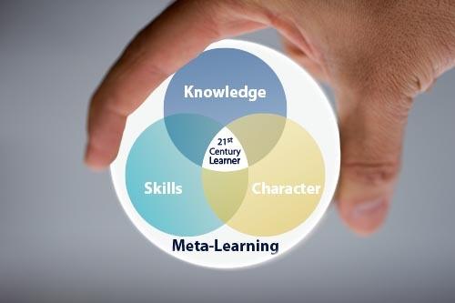Metacognitive-skills