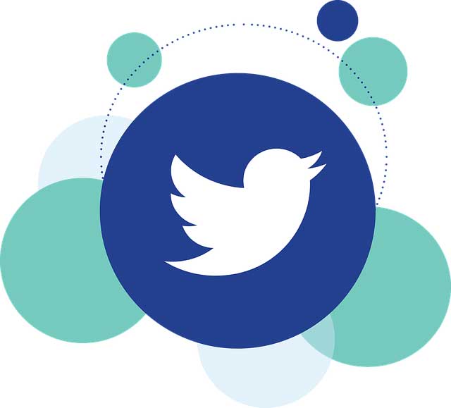 twitter-social-icon