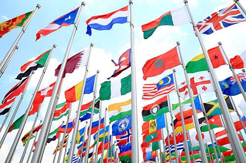united-nation-organization
