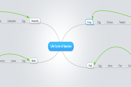 Mindmapping Tips For Educators