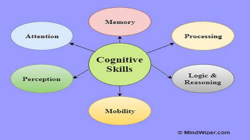 Acting Upon Your Child’s Cognitive Skills - Simple Guidelines