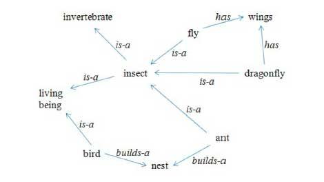 Semantic Network as a Knowledge Representation Tool for Building a Roadmap of Knowledge